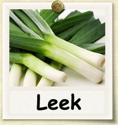 Non-Hybrid Leek Seed - Seeds of Life