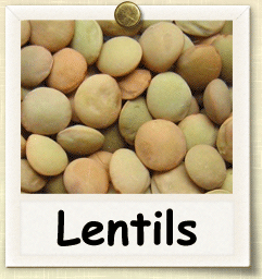 Open-Pollinated Lentil Seed - Seeds of Life