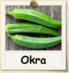 Non-Hybrid Okra Seed - Seeds of Life