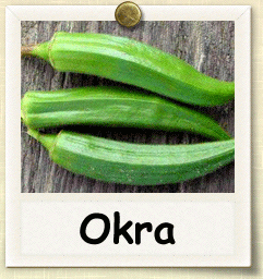 Open-Pollinated Okra Seed - Seeds of Life