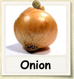 Non-Hybrid Onions Seed - Seeds of Life