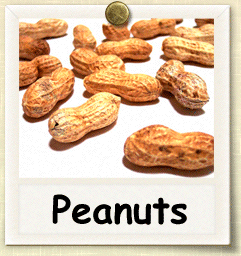 Non-Hybrid Peanut Seed - Seeds of Life