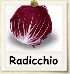 Non-Hybrid Radicchio Seed - Seed of Life