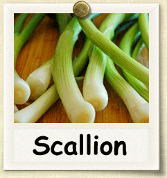 Non-Hybrid Scallion Seed - Seeds of Life