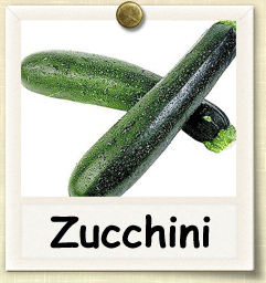Non-Hybrid Zucchini Seed - Seeds of Life