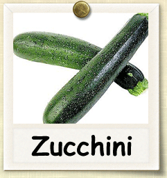 Open-Pollinated Zucchini Seed - Seeds of Life