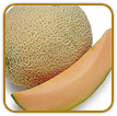 Open-Pollinated Cantaloupe Seed | Seeds of Life