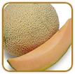 Non-Hybrid Cantaloupe Seed | Seeds of Life