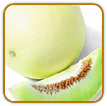 Open-Pollinated Honeydew Melon Seed | Seeds of Life