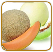 Open-Pollinated Melon Seed | Seeds of Life
