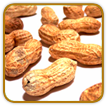 Non-Hybrid Peanut Seed | Seeds of Life