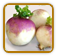 Non-Hybrid Turnip Seed | Seeds of Life