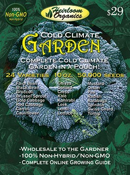 Cold Climate Garden