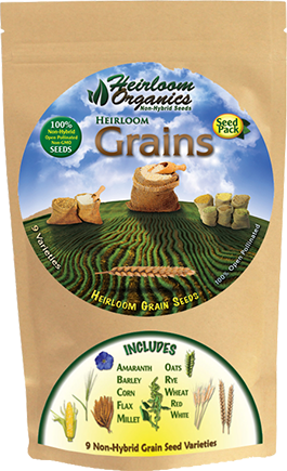 Grains Pack