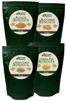 3-Day Food Independence Sprout Pack