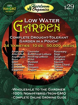 Low Water Garden