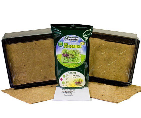 Home MicroGreens Kit