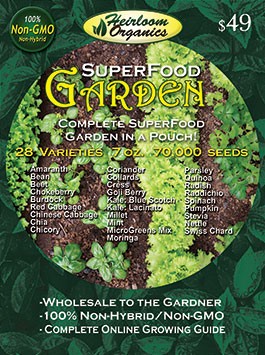 Superfood Garden