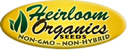 Non GMO, Non-Hybrid Seeds, Seedlings & Non-Hybrid Vegetable Plants